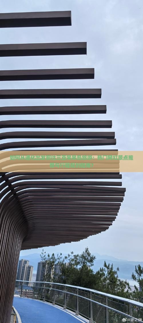 如何从通化出发前往三亚呆呆岛旅游：热门网红景点推荐与行程规划指南？