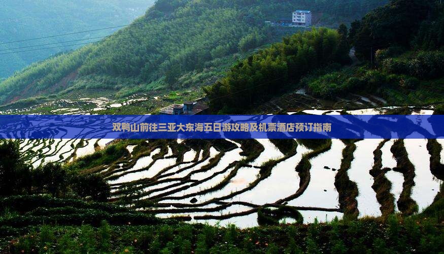 双鸭山前往三亚大东海五日游攻略及机票酒店预订指南