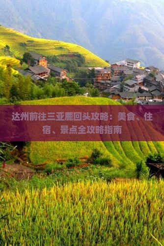 达州前往三亚鹿回头攻略：美食、住宿、景点全攻略指南