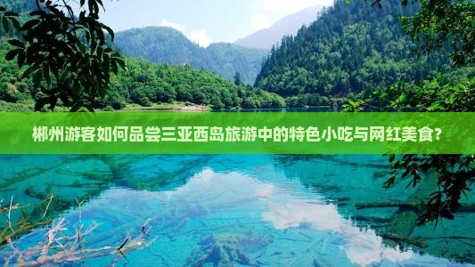 郴州游客如何品尝三亚西岛旅游中的特色小吃与网红美食？
