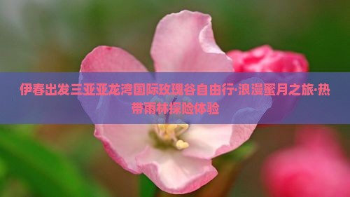伊春出发三亚亚龙湾国际玫瑰谷自由行·浪漫蜜月之旅·热带雨林探险体验