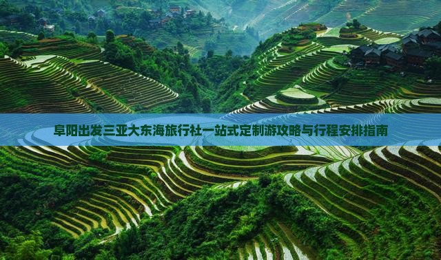 阜阳出发三亚大东海旅行社一站式定制游攻略与行程安排指南