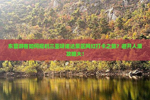 东营游客如何规划三亚呀诺达景区网红打卡之旅？避开人潮攻略大！