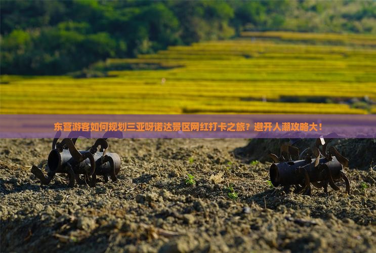东营游客如何规划三亚呀诺达景区网红打卡之旅？避开人潮攻略大！