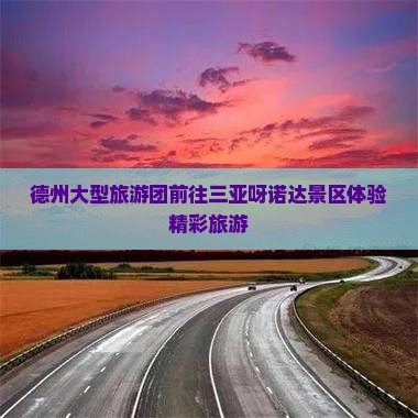 德州大型旅游团前往三亚呀诺达景区体验精彩旅游