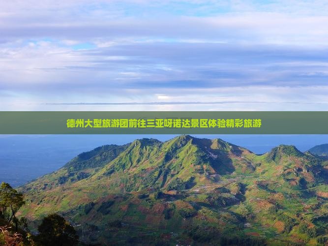 德州大型旅游团前往三亚呀诺达景区体验精彩旅游
