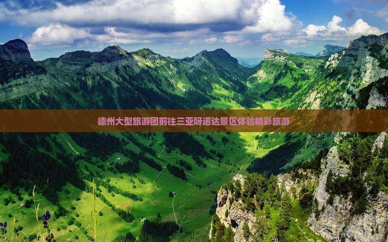 德州大型旅游团前往三亚呀诺达景区体验精彩旅游
