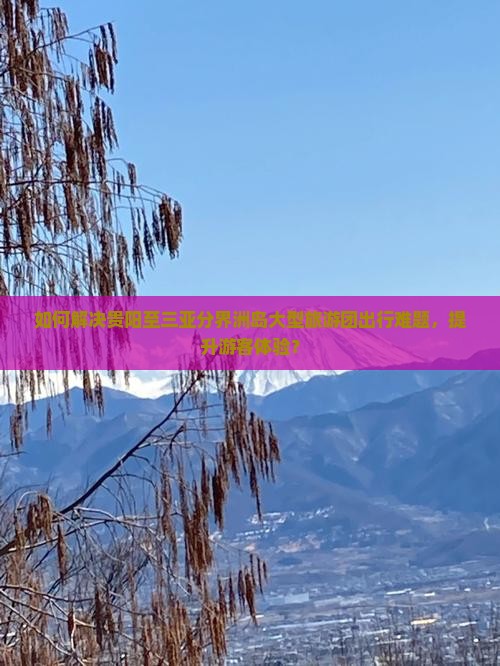 如何解决贵阳至三亚分界洲岛大型旅游团出行难题，提升游客体验？