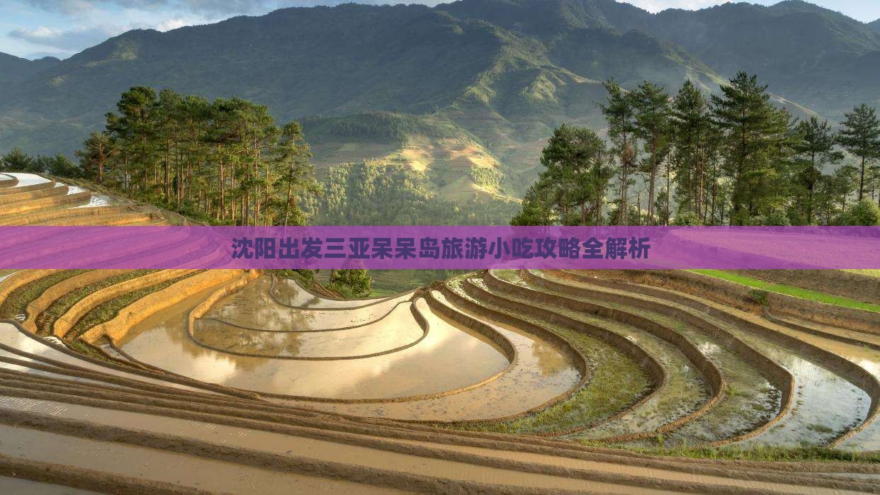 沈阳出发三亚呆呆岛旅游小吃攻略全解析