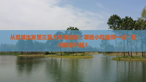 从宣城出发至三亚大东海旅游：哪些小吃值得一试？如何规划行程？
