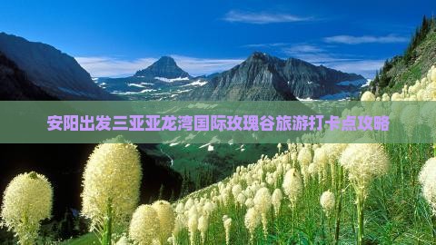 安阳出发三亚亚龙湾国际玫瑰谷旅游打卡点攻略