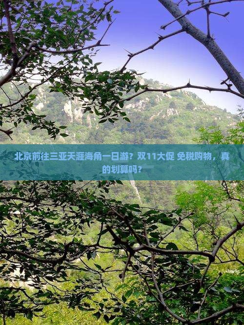 北京前往三亚天涯海角一日游？双11大促+免税购物，真的划算吗？