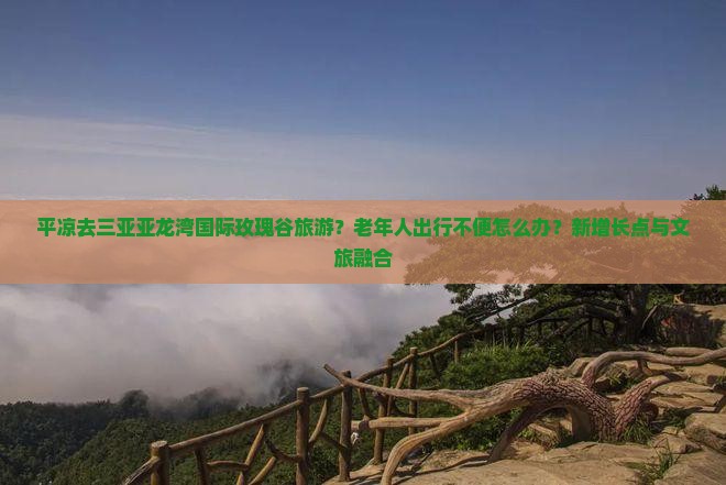 平凉去三亚亚龙湾国际玫瑰谷旅游？老年人出行不便怎么办？新增长点与文旅融合