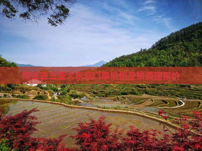 商丘去三亚大东海门票价格及旅游团报价