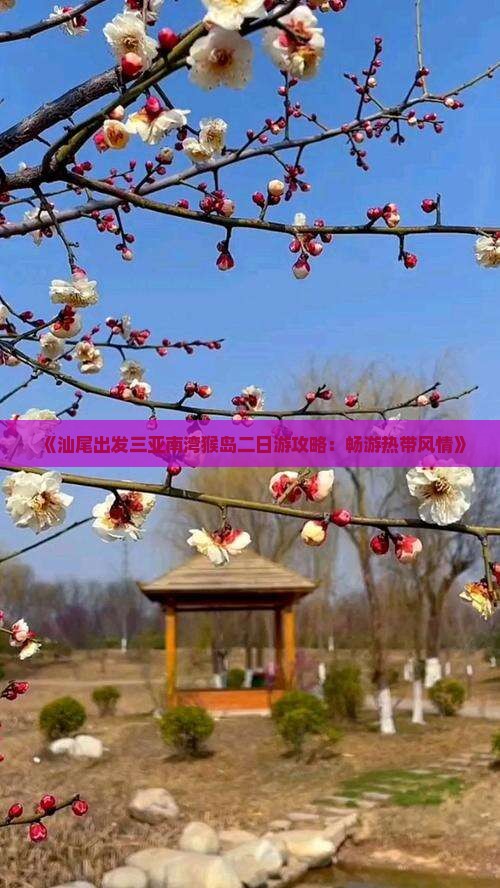 《汕尾出发三亚南湾猴岛二日游攻略：畅游热带风情》