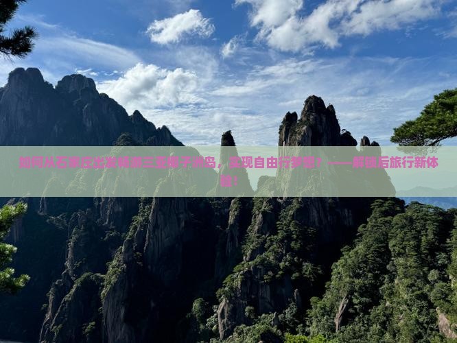 如何从石家庄出发畅游三亚椰子洲岛，实现自由行梦想？——解锁后旅行新体验！