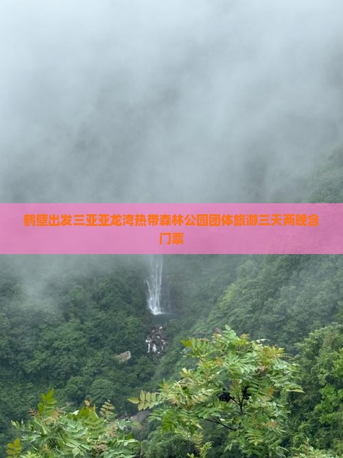 鹤壁出发三亚亚龙湾热带森林公园团体旅游三天两晚含门票