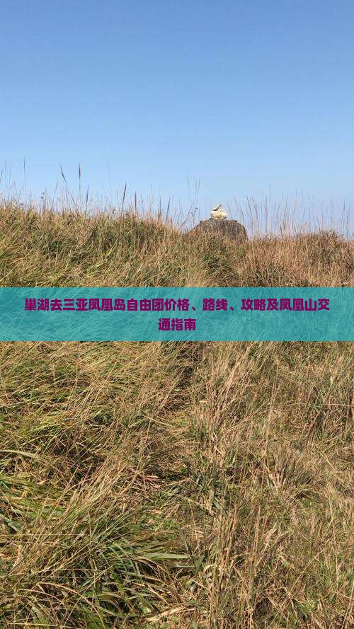 巢湖去三亚凤凰岛自由团价格、路线、攻略及凤凰山交通指南