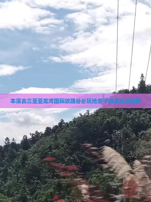 本溪去三亚亚龙湾国际玫瑰谷必玩地亲子游海岛游推荐