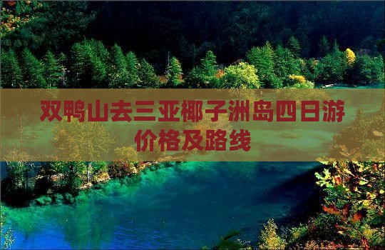 双鸭山去三亚椰子洲岛四日游价格及路线