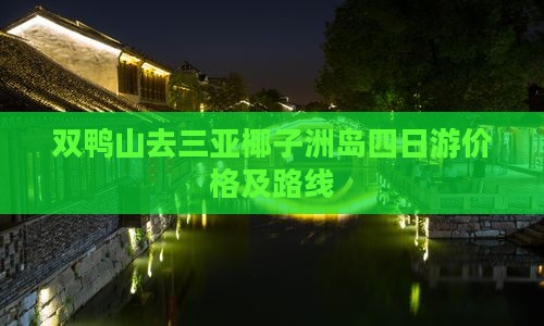双鸭山去三亚椰子洲岛四日游价格及路线