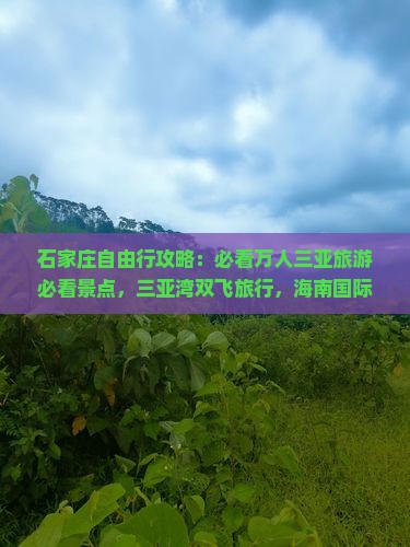 石家庄自由行攻略：必看万人三亚旅游必看景点，三亚湾双飞旅行，海南国际旅行社推荐行程
