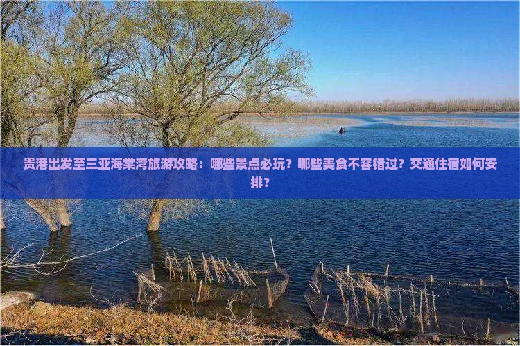贵港出发至三亚海棠湾旅游攻略：哪些景点必玩？哪些美食不容错过？交通住宿如何安排？