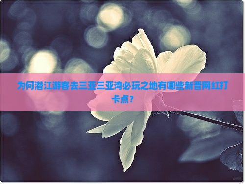 为何潜江游客去三亚三亚湾必玩之地有哪些新晋网红打卡点？
