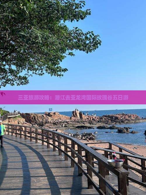 三亚旅游攻略：潜江去亚龙湾国际玫瑰谷五日游