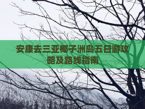 安康去三亚椰子洲岛五日游攻略及路线指南