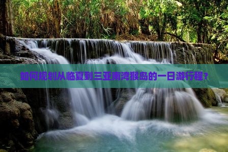 如何规划从临夏到三亚南湾猴岛的一日游行程？