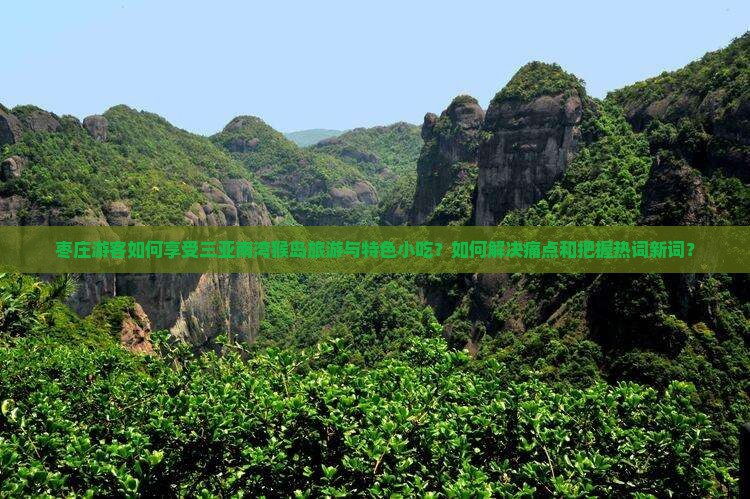 枣庄游客如何享受三亚南湾猴岛旅游与特色小吃？如何解决痛点和把握热词新词？