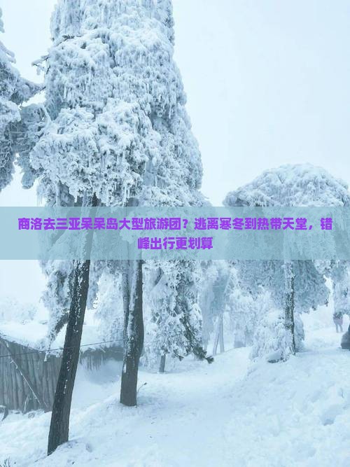 商洛去三亚呆呆岛大型旅游团？逃离寒冬到热带天堂，错峰出行更划算