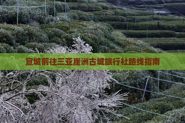 宣城前往三亚崖洲古城旅行社路线指南