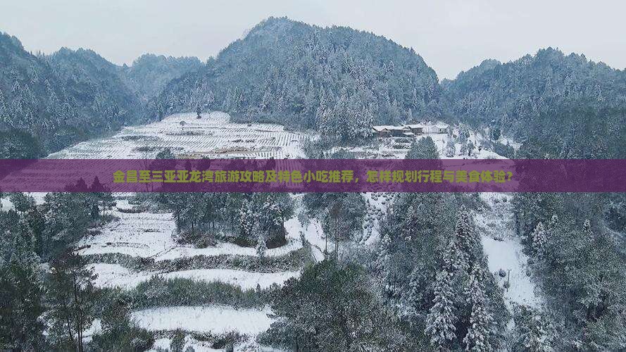 金昌至三亚亚龙湾旅游攻略及特色小吃推荐，怎样规划行程与美食体验？