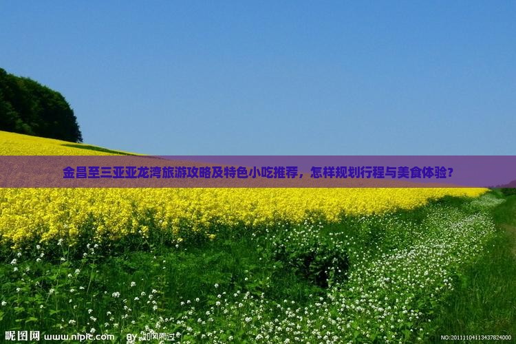 金昌至三亚亚龙湾旅游攻略及特色小吃推荐，怎样规划行程与美食体验？