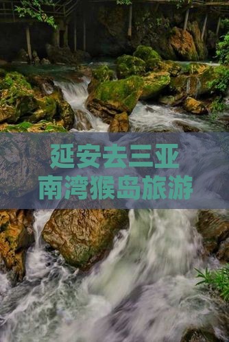 延安去三亚南湾猴岛旅游打卡点攻略电话