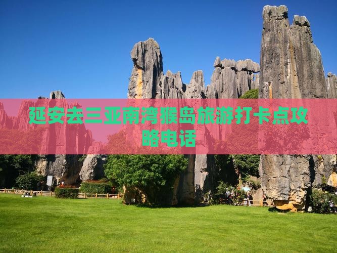 延安去三亚南湾猴岛旅游打卡点攻略电话