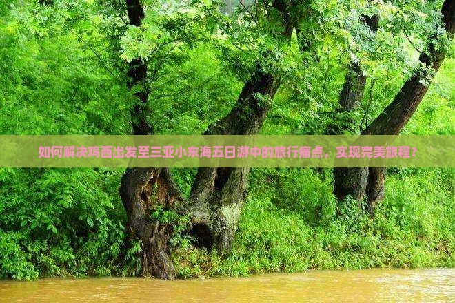 如何解决鸡西出发至三亚小东海五日游中的旅行痛点，实现完美旅程？