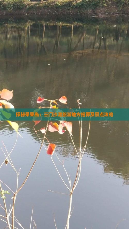 探秘呆呆岛：三门沙滩旅游地方推荐及景点攻略