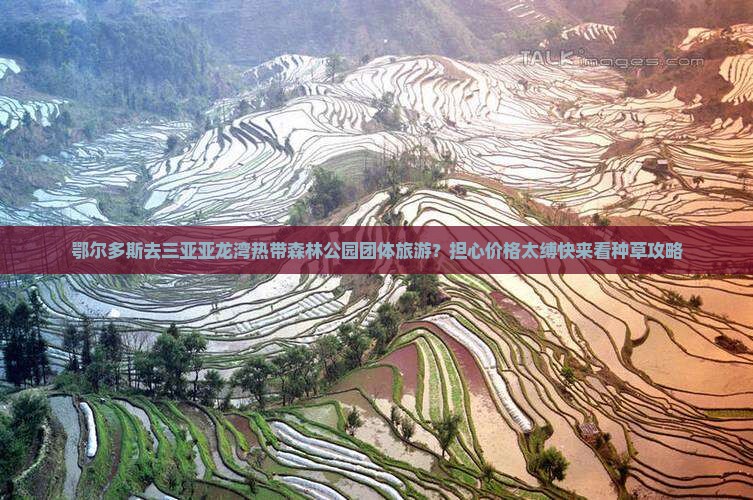 鄂尔多斯去三亚亚龙湾热带森林公园团体旅游？担心价格太缚快来看种草攻略