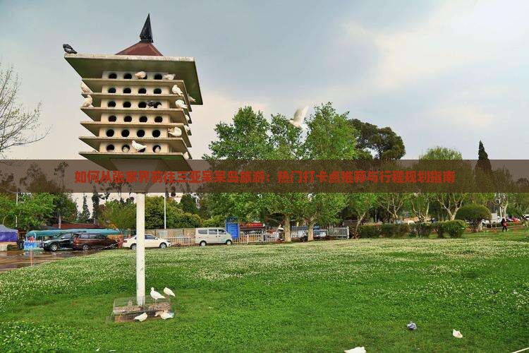 如何从张家界前往三亚呆呆岛旅游：热门打卡点推荐与行程规划指南