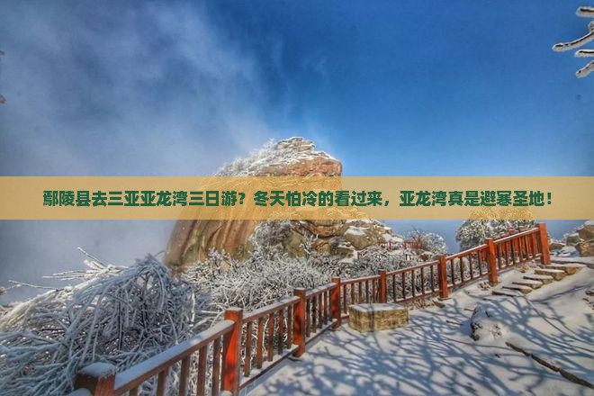鄢陵县去三亚亚龙湾三日游？冬天怕冷的看过来，亚龙湾真是避寒圣地！