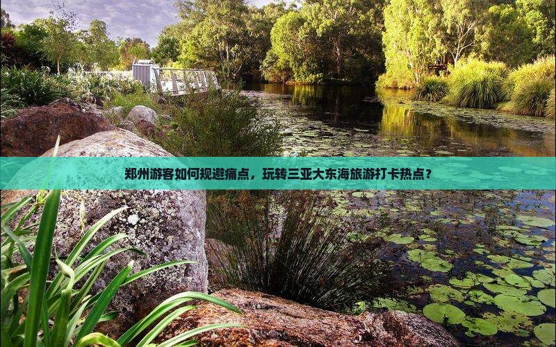 郑州游客如何规避痛点，玩转三亚大东海旅游打卡热点？