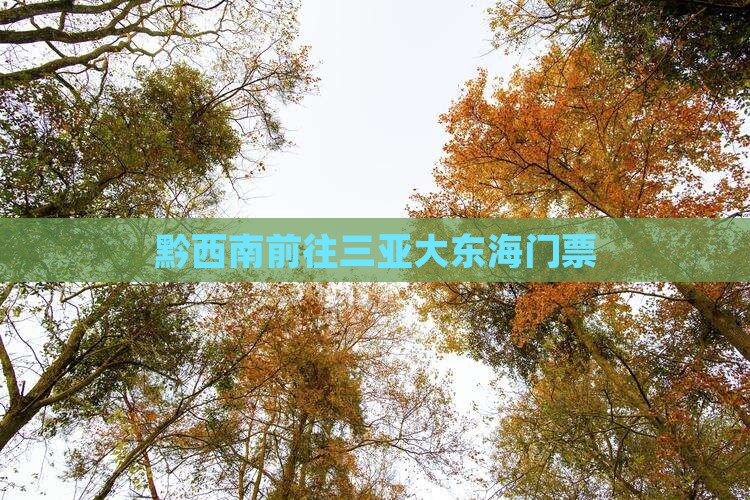 黔西南前往三亚大东海门票