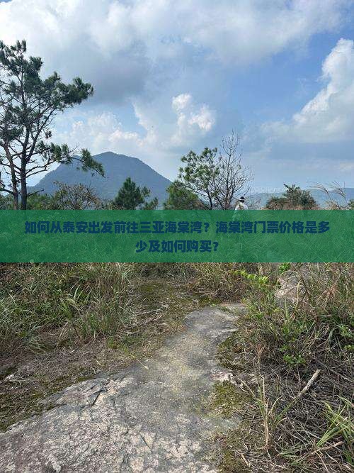 如何从泰安出发前往三亚海棠湾？海棠湾门票价格是多少及如何购买？