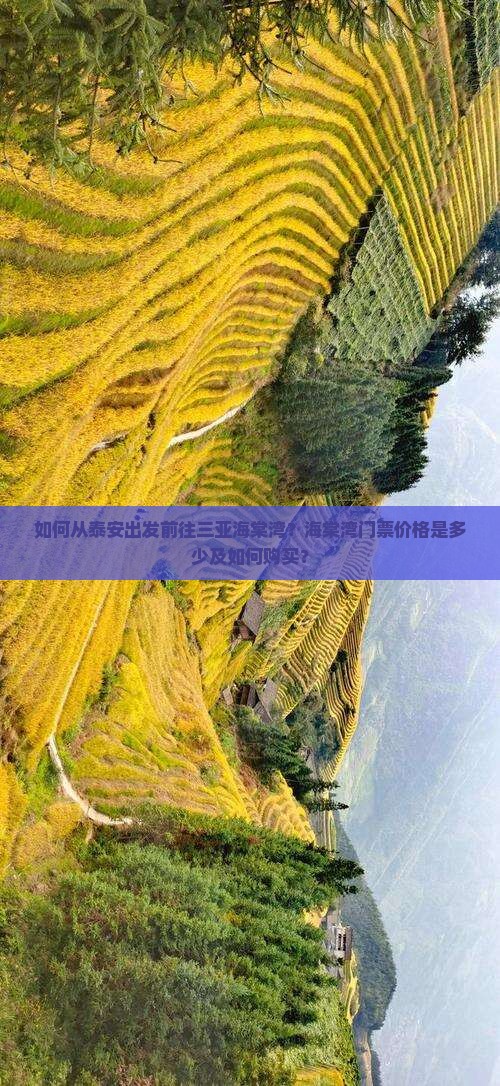 如何从泰安出发前往三亚海棠湾？海棠湾门票价格是多少及如何购买？