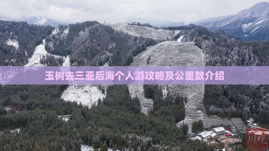 玉树去三亚后海个人游攻略及公里数介绍