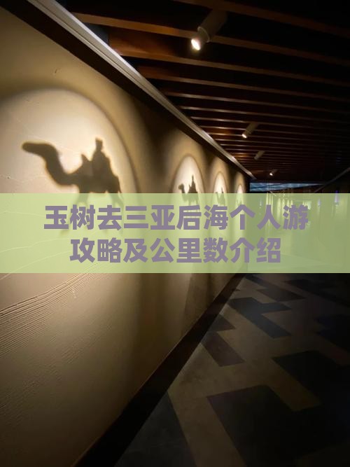 玉树去三亚后海个人游攻略及公里数介绍