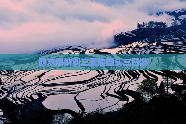西双版纳到三亚鹿回头三日游